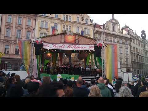 Video: Spectacole în Aer Liber