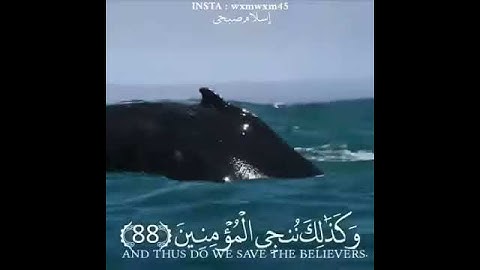 مقطع من القرآن الكريم /الدعاء/سورة الانبياء