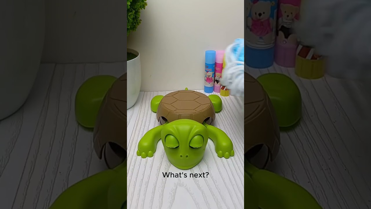 What do you want me to put on top of this turtle? 