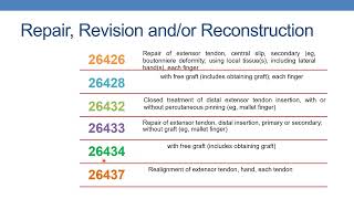 Cpt coding guidelines for surgery Musculoskeletal system  Part 7 hands and fingers