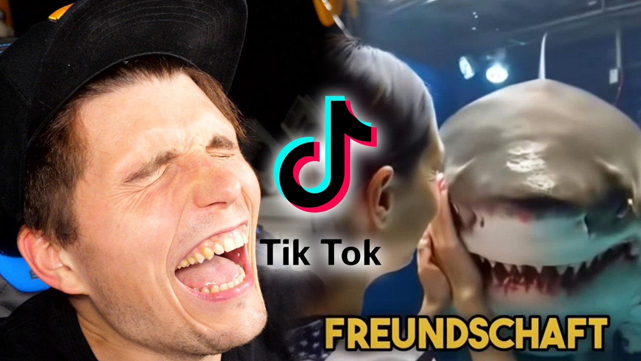 Paluten guckt TikToks bis er vom AI Hai gefressen wird