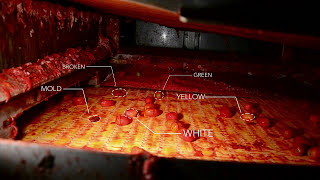 Celebrity Rayvolution: the optical sorter for peeled tomatoes | RAYTEC VISION SpA Net Worth