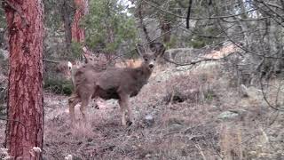 Button Rock Preserve Sleepy Lion Trail To Professors Ranch Trail