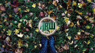 No Copiryght Music Ben Toth - Grey. Ft. Monica Sisourath