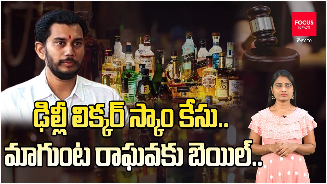 Magunta Raghava Reddy Gets Interim Bail With Conditions In Delhi Liquor ...