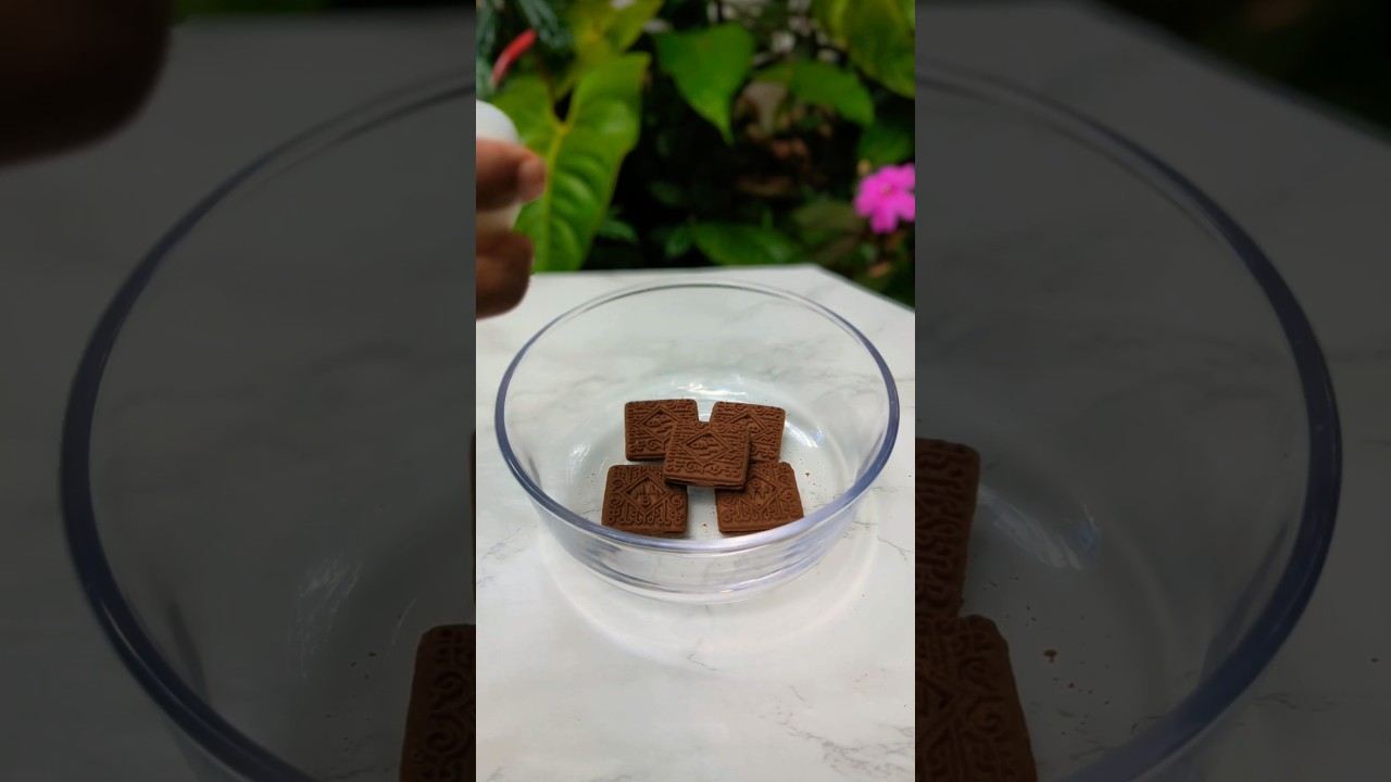 පුඩිමක් බිස්කට් පහයි ගෙදර හැමොටමයි 😋 Chocolate Biscuit Pudding