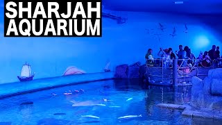 SHARJAH AQUARIUM &amp; MARITIME MUSEUM | 4K | Sharjah Tourist Attraction