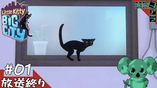 【Little Kitty,BigCity】ただただ猫で癒されたいそんな日もある：01