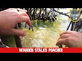 A dangerous pursuit to catch a poacher