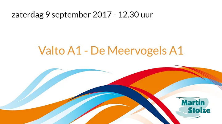 Valto A1 - De Meervogels A1