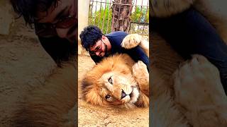 MOST DANGEROUS ADVENTURE OF MY LIFE WITH LION???