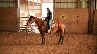 Emily with horse