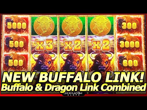 Buffalo Link Slot Machine - NEW Slot!  Buffalo and Dragon Link Combined!  The Best of Both Slots!