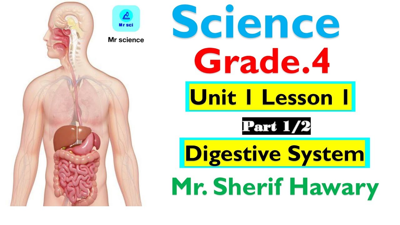 Science | Grade 4 | Unit 1 Lesson 1 |Digestive System |Part 1/2|2nd
