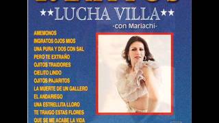 Video thumbnail of "Lucha Villa   amemonos"