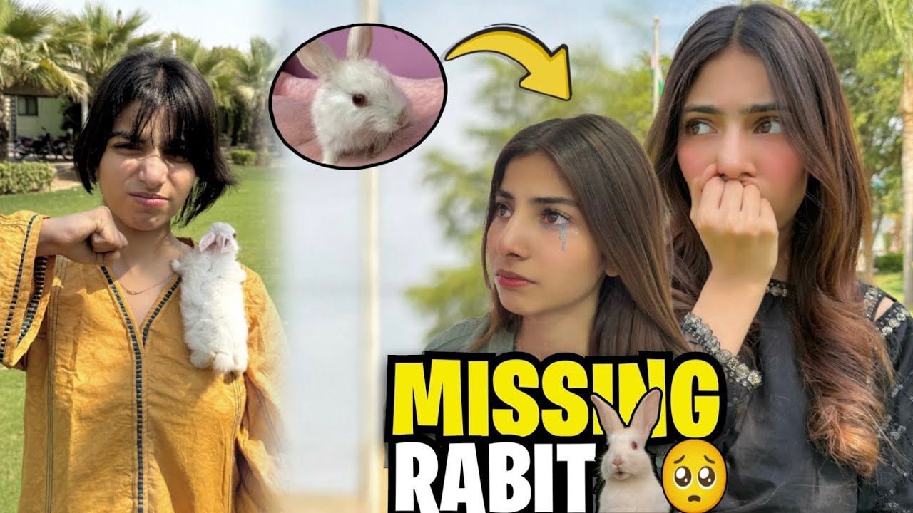 ABIHA KY SATH HUA PRANK😰|ABIHA BOTH ROI