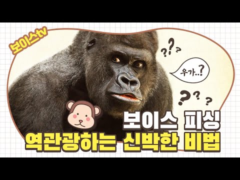 새내기직장인대출