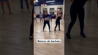 Básicos en bachata | Bachatea #howtodance #bachata #bachatasolo #bachatadance #dance