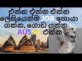 Australia ඈවිත් ජොබ් එකක් හොයා ගන්න ලේසිම විදිය