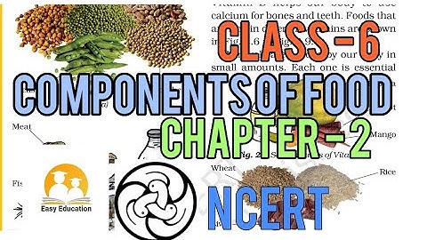 Components Of Food | Chapter 2 | Science | 6th Class Ncert Coverd By Yogesh Sir
