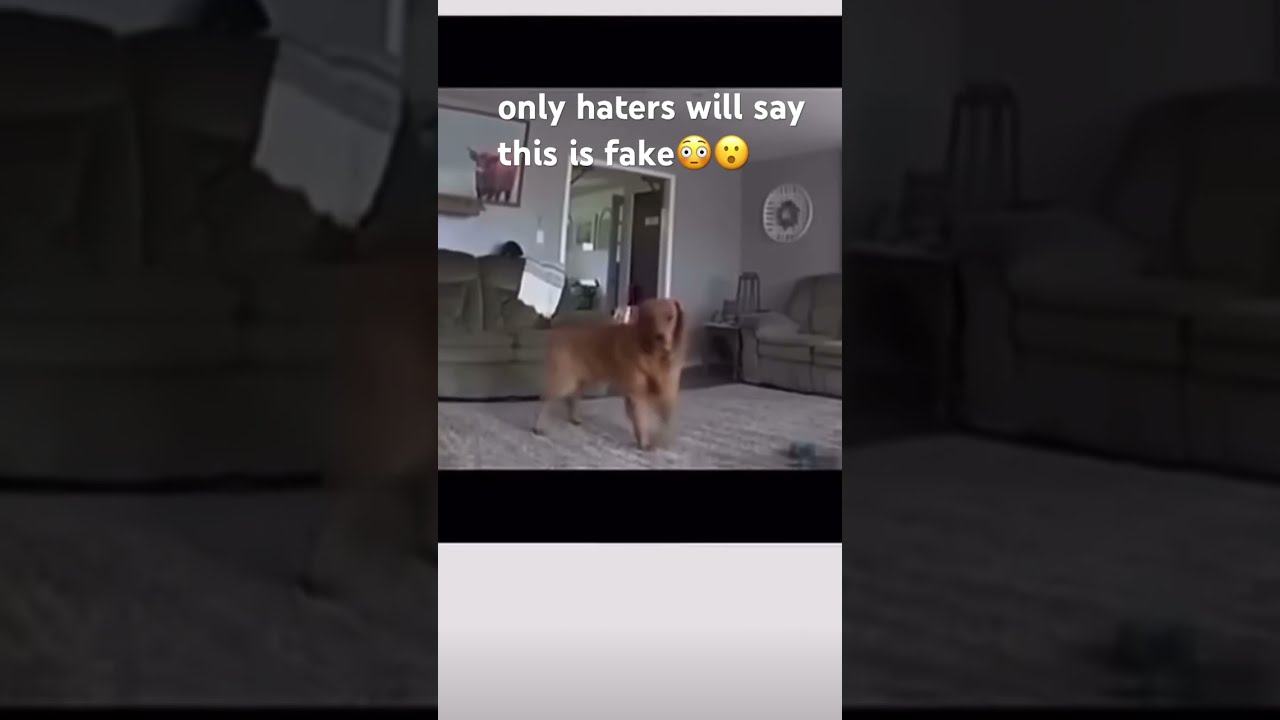 Only Haters Will Call This Fake