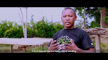 Production of VAM (vesicular-arbuscular mycorrhiza)- Association Mitsinjo, Madagascar