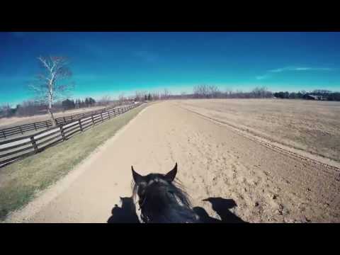 Riding a Race Horse