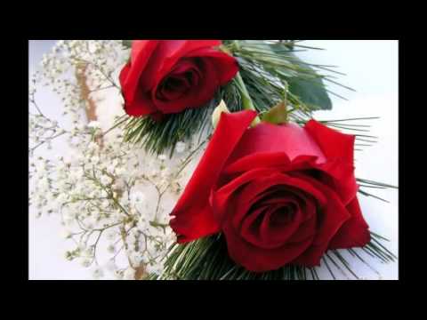 Ednan Said Dilberine عدنان سعيد Mp4 