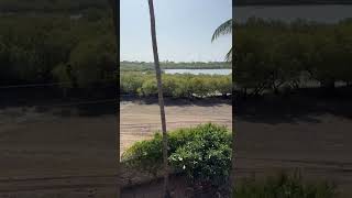 0.5-Acre Land for Sale on Prawn Lake, Watamu
