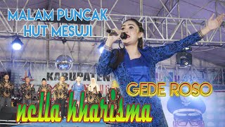 MALAM PUNCAK HUT MESUJI || NELLA KHARISMA - GEDE ROSO PART 2