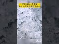 雪を食べてはいけないと分かる動画