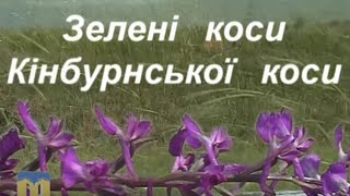 Зелені коси Кінбурнської коси