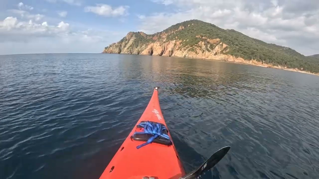 Kayak dans le golfe de Porto 