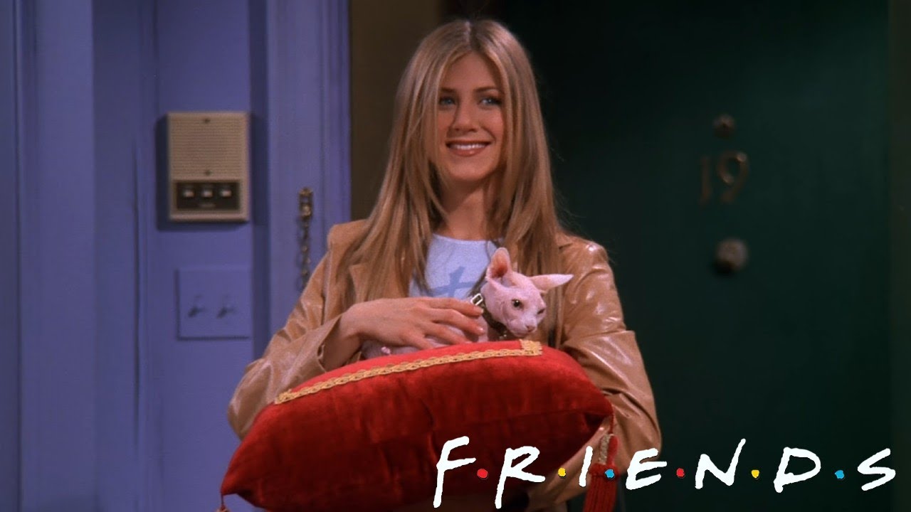 FRIENDS S05E21 The One with the Ball | Review
