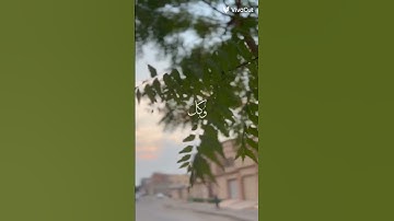 (سورة السجدة)القآرئ عبدالرحمن مسعد