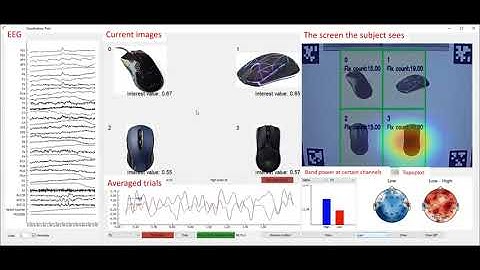 A Brain-Computer Interface (BCI) for Human Interest Detection.