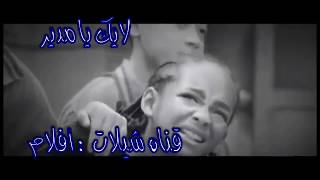 شيلات افلام علا شيله اي والله أني قدها والله حمااااسسسس❤️😤