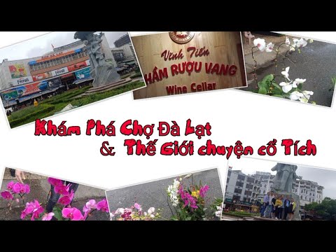 Video Khám Phá Chợ Đà Lạt và Hầm Rựơu Vĩnh Tiến. Thế Giới... - youtube