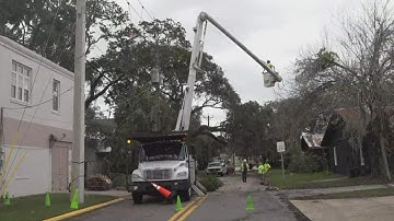 Crews working through the storm in St. Augustine to remove fallen trees from power lines