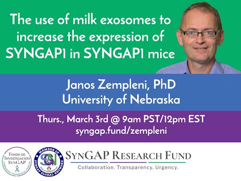 SRF | The use of milk exosomes to increase the expression of SYNGAP1 in SYNGAP1 mice 🥛🧬