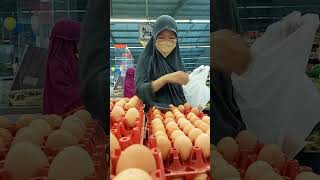 tiap hari aku makan telur