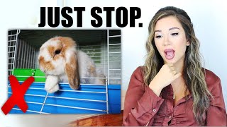 REACTING TO OUR SUBSCRIBERS RABBIT HABITATS | Pt. 4