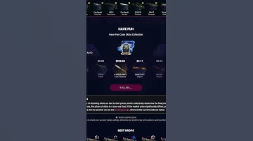 Have Fun Case on DaddySkins | Promo Code "REDDIT69"