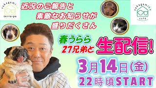 【遂にファンネーム発表！？】３月１４日(金)よる２２時から春うらら２７兄弟と“生配信”！近況のご報告と素敵なお知らせが盛りだくさん！