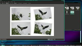 Make A Photo Montage In Linux Using ImageMagick