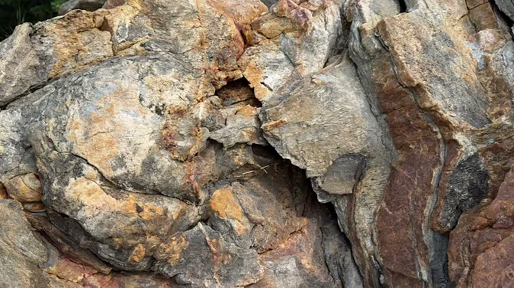 sapirse & aimsir in To Speak for the Trees by Diana Beresford-Kroeger,2019