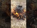 شاي جمر شبة النار البادية البر جلسة بر أجواء البر تصوير بدوي الهدوء