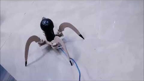 HOW TO MAKE A QUAD-ROBOT/HOW TO MAKE A SPIDER ROBOT /4 SERVOS/ ARDUINO/EASY
