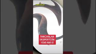 TARCANLARIN YENİ AMİ’SI TAKİPTE KALIN