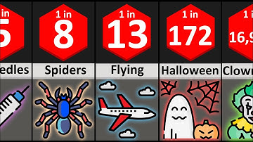 Probability Comparison: Phobia